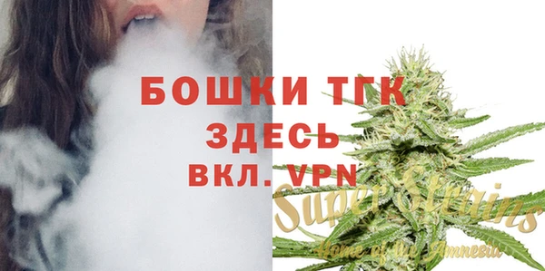 стафф Россошь