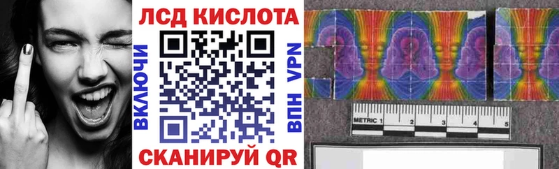 цена наркотик  Заводоуковск  Наркотические марки 1,8мг 