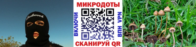 купить закладку  Заводоуковск  Псилоцибиновые грибы ЛСД 
