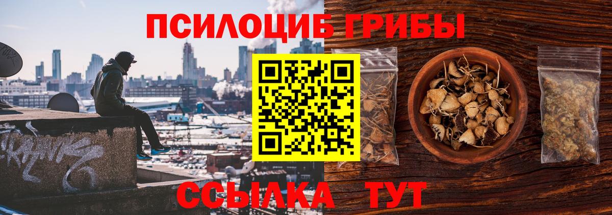 Заводоуковск  Псилоцибиновые грибы Psilocybine cubensis  Вход с VPN  Псилоцибиновые грибы GOLDEN TEACHER 