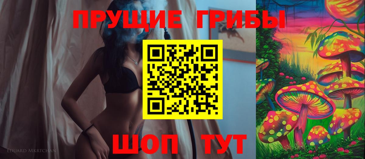 Галлюциногенные грибы Psilocybine cubensis Заводоуковск
